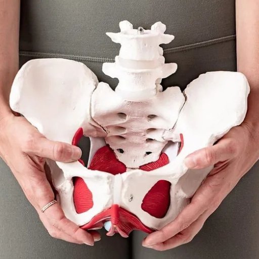 Ilustração de fisioterapia uroginecológica